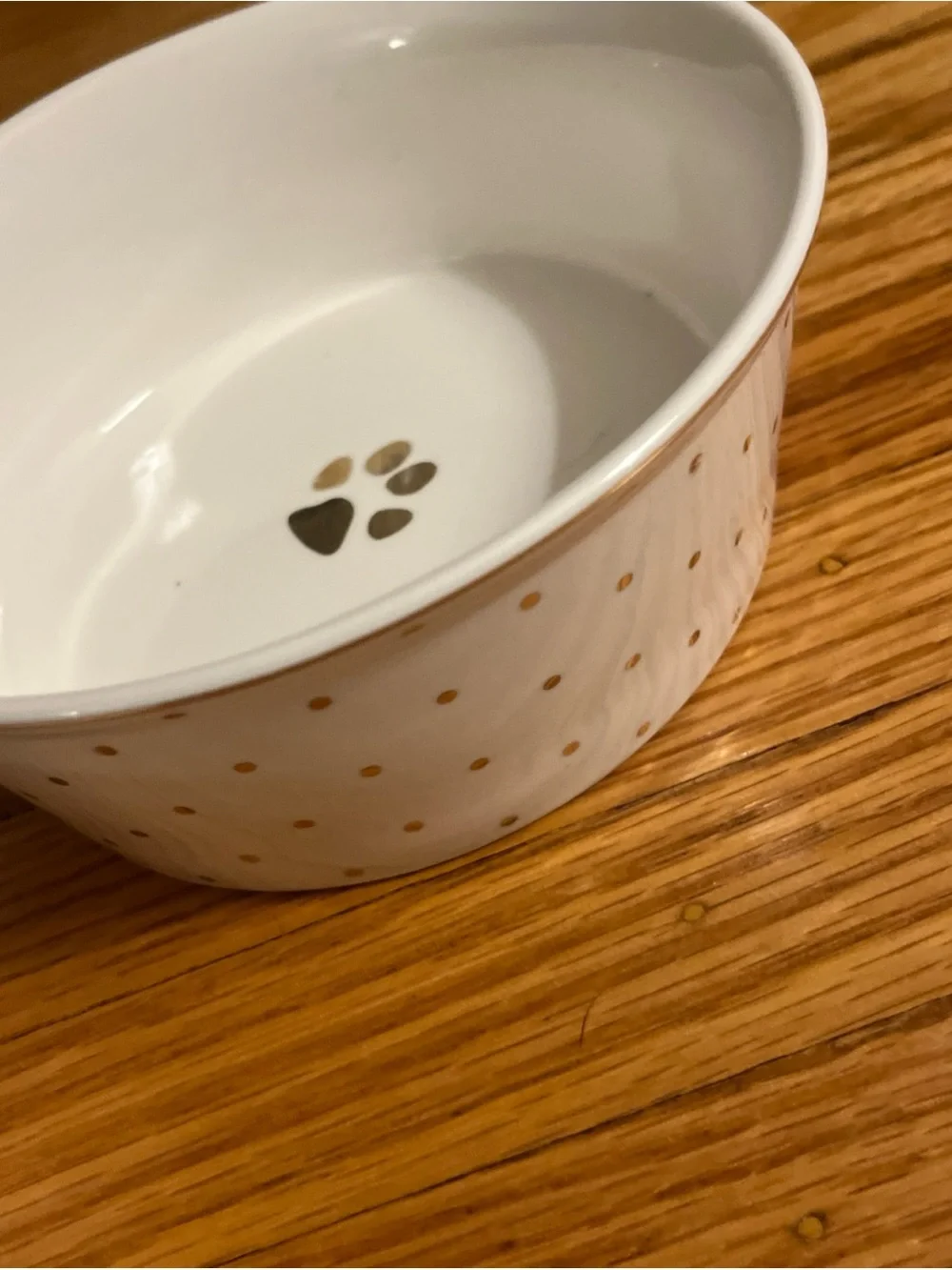 Fido's Diner Ceramic Water and Food Bowl Set White Gray Dots and Gold Rim